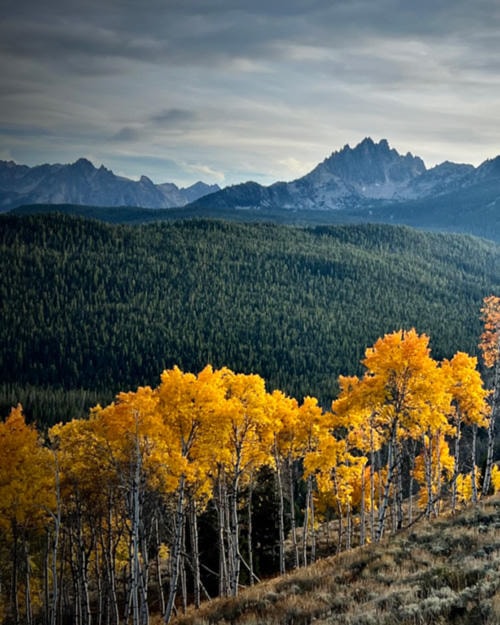 Idaho mountain landscape with golden aspens